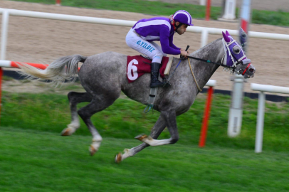 'Demrenin Kızı' AGSYD Kupası’nın şampiyonu oldu