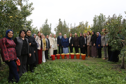 Gürsu’da eller sadece armut için kalktı