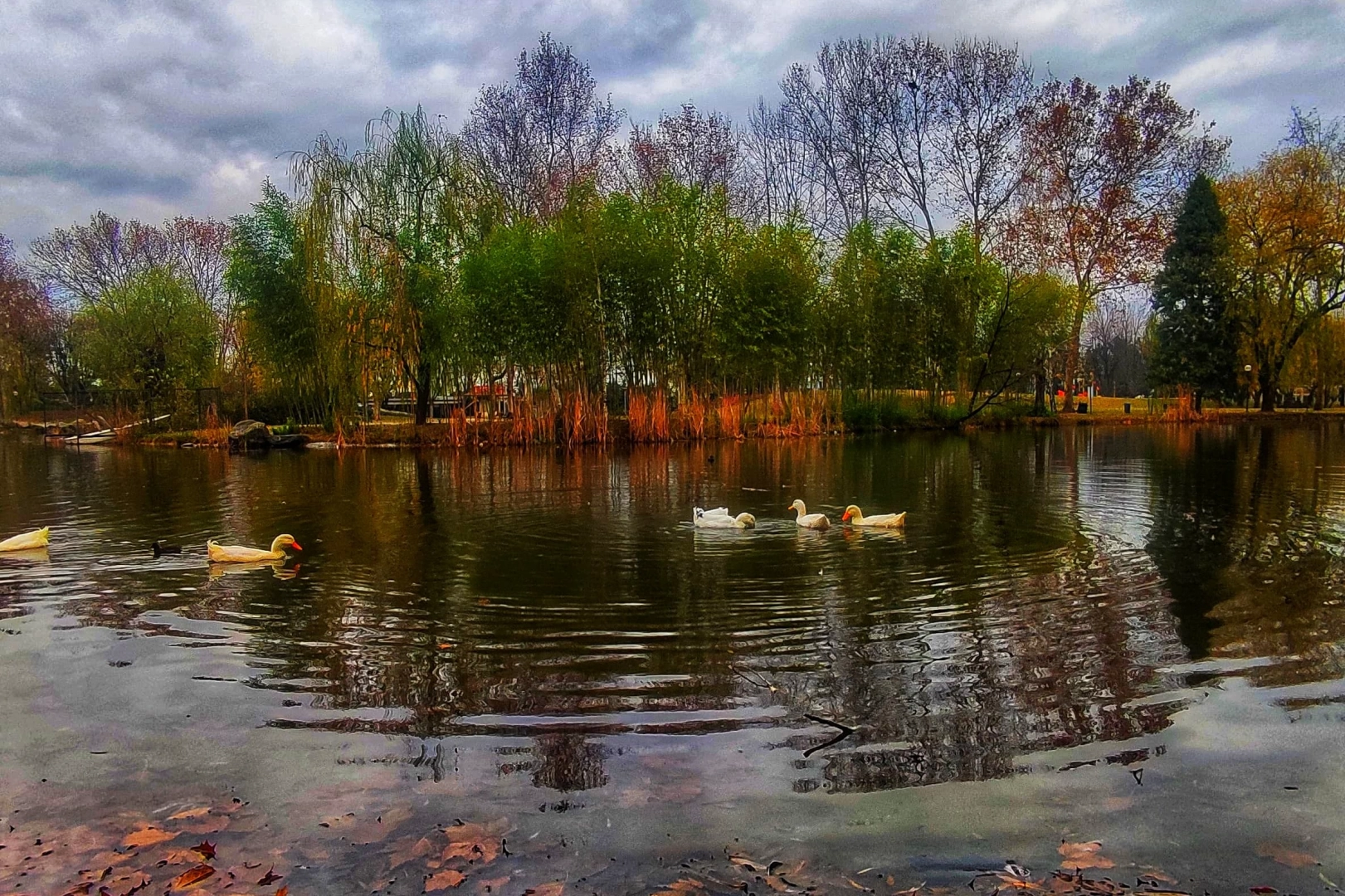 Botanik'te Kasım Güzelliği