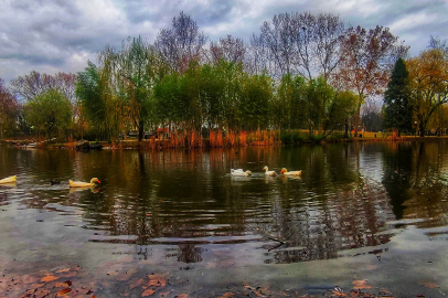 Botanik'te Kasım Güzelliği