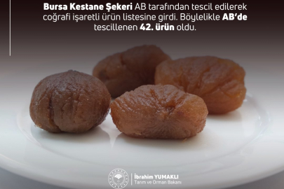 Bursa Kestane Şekeri'ne AB^den coğrafi işaret tescili