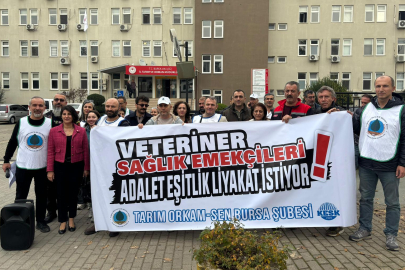 Veteriner hekimler hakları için sesini yükseltti: “Adalet, eşitlik ve liyakat istiyoruz”