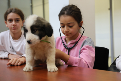Bursa’da minikler bir günlüğüne veteriner hekim oldu