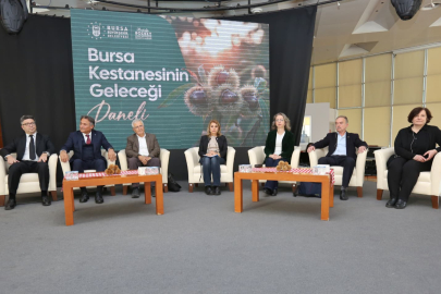 Bursa Büyükşehir’den kestane üretimi için seferberlik çağrısı