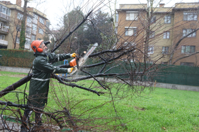 Büyükşehir ekipleri şiddetli rüzgara karşı seferber oldu