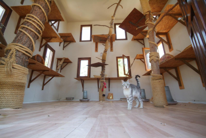 Osmangazi’den patili dostlara sevgi ve umut eli