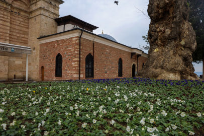 Bursa Büyükşehir’den tarihi mekanlara kış baharı