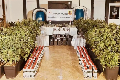 Jandarmadan 23 ilde uyuşturucu operasyonu: 521 gözaltı