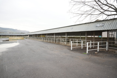 Yenişehir Canlı Hayvan Pazarı yeniden açıldı