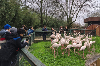 Bursa'da çocuklar bilim ve doğayı objektiften keşfetti