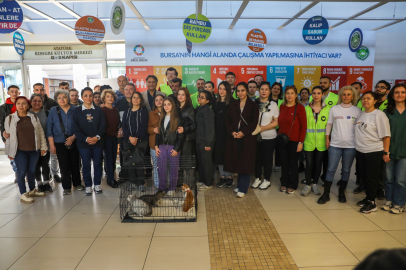 Bursa’da Dünya Kediler Günü’nde can dostlara sıcak yuva