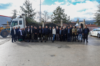 Bursa Büyükşehir’den çiftçiye fide ve fidan desteği