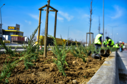 Bursa’da park ve bulvarlarda yeşil dönüşüm