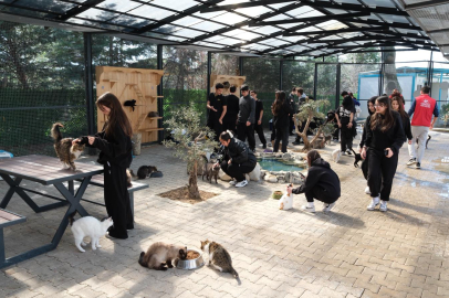 Yıldırım’da sokak hayvanları için farkındalık ziyareti