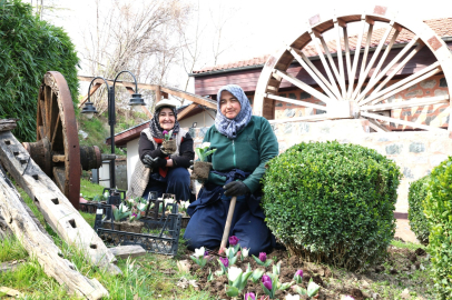 Osmangazi’yi rengarenk çiçekler sarıyor