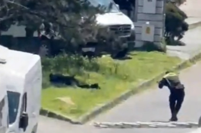 Teröristlerin kimlikleri belli oldu