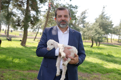 Gürsu’da doğayla iç içe Butik Hayvanat Bahçesi