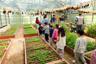 Osmangazi'de miniklere serada uygulamalı tarım eğitimi