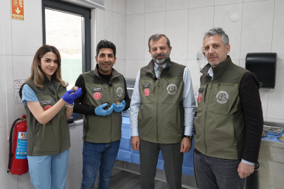 Gürsu Belediyesi Hayvan Bakım Merkezi’nde anne kedi 5 yavruya umut odu