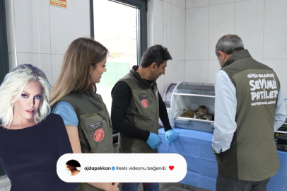 Ajda Pekkan’dan Gürsu’daki yavru kedilere destek