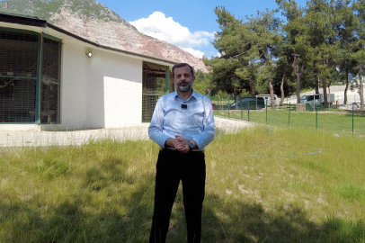 Gürsu Kule Orman Park yeniden hizmete açılıyor